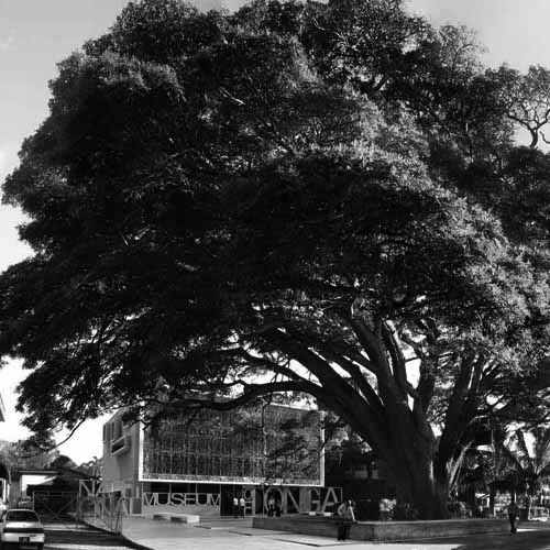 Projet Tonga
